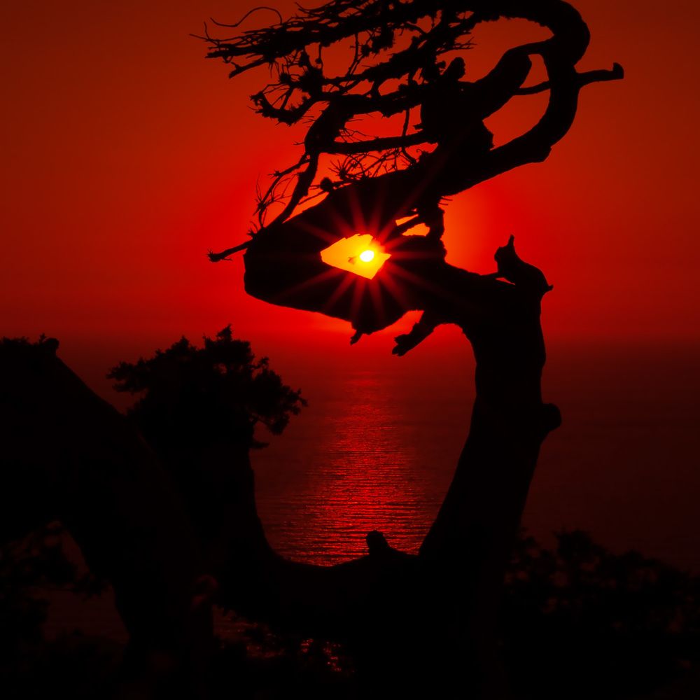 Ждущие ночь...