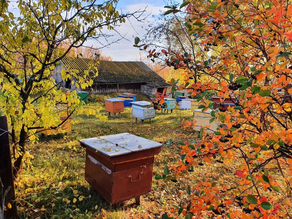 Photograph by Дмитрий