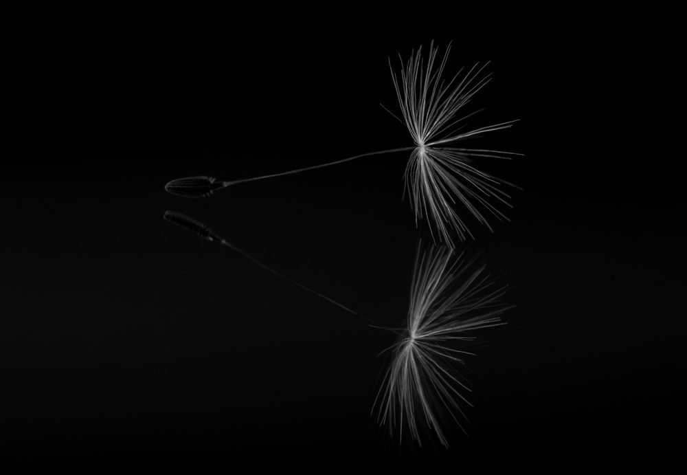 Photograph by Oleg Ki