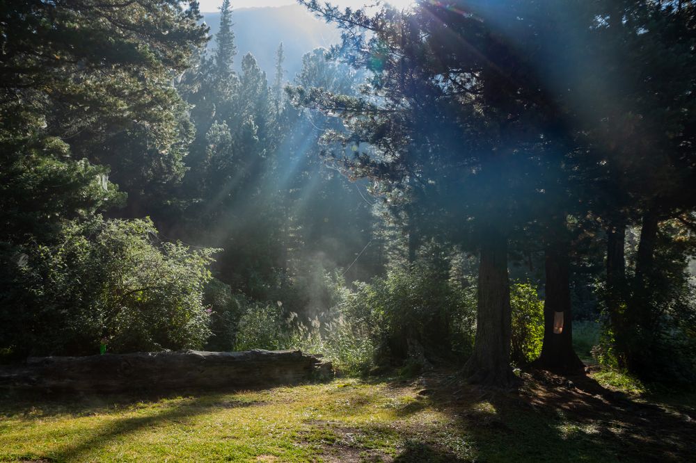 Photograph by Тараканова Светлана