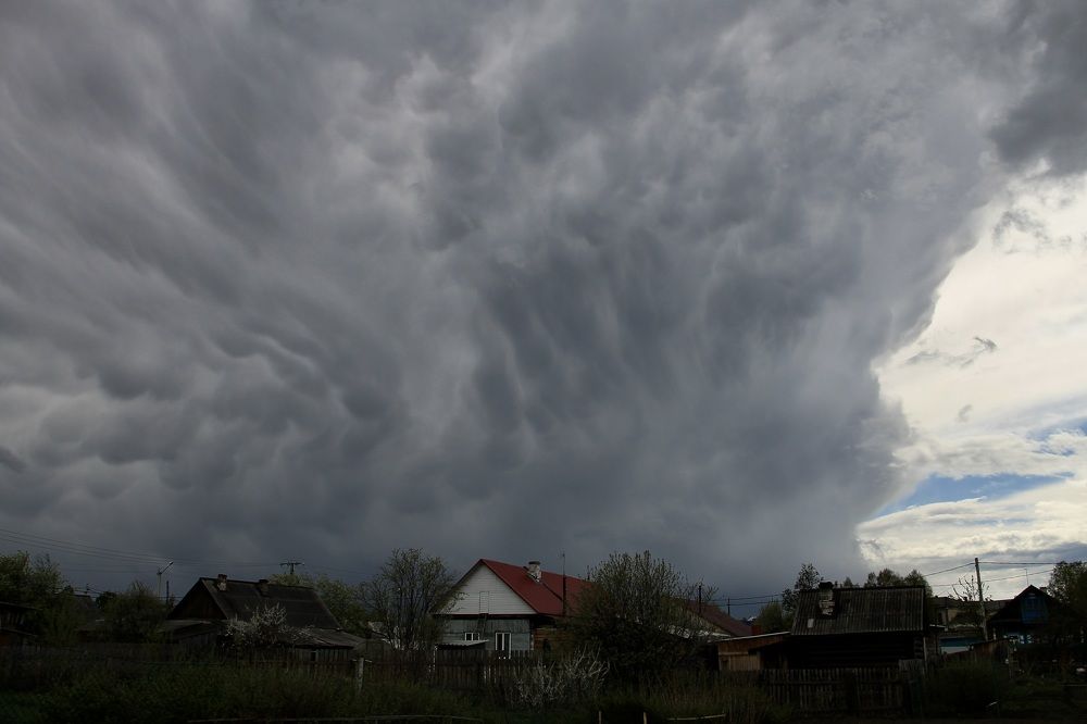 Photograph by Леунина Людмила