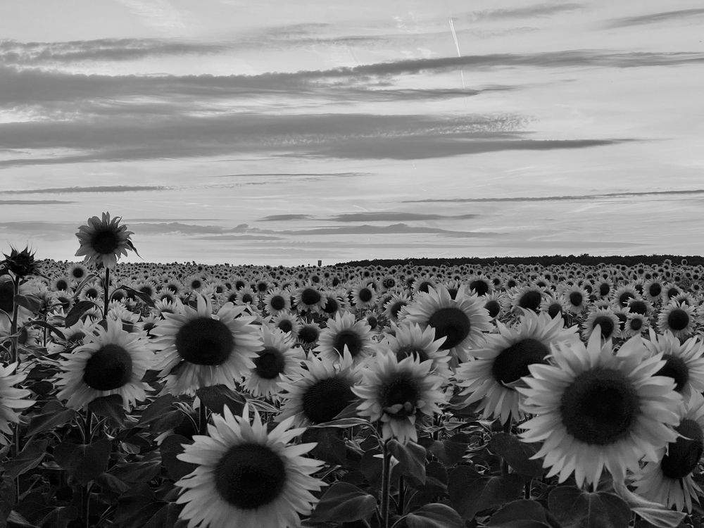 Photograph by Oleg Ki