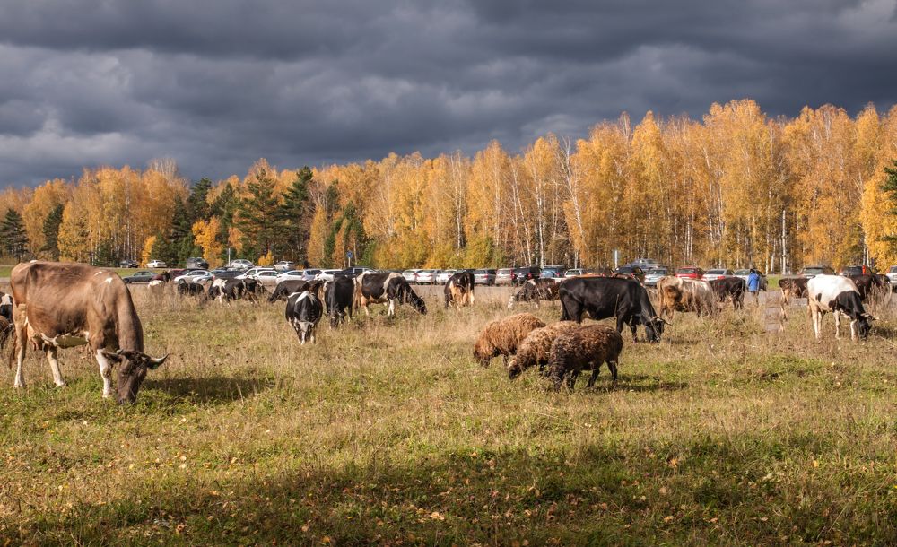 Photograph by Natalia