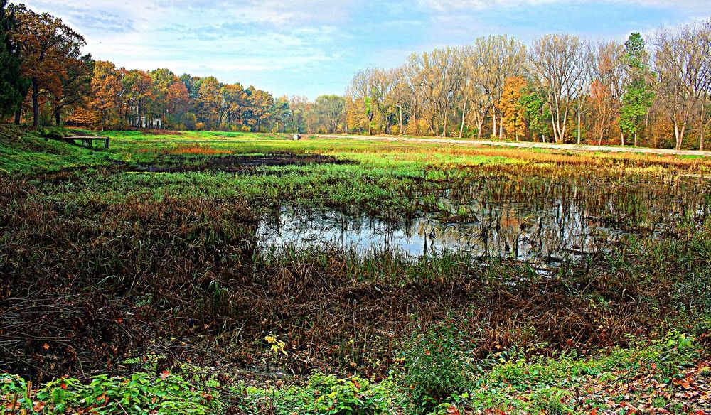 Photograph by Сергей Рапопорт