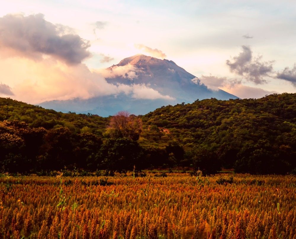 The fiel, the mountain and the sky