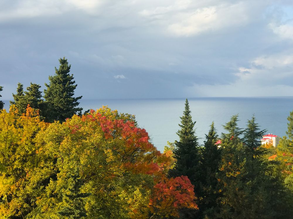 Photograph by Наталья Перерва