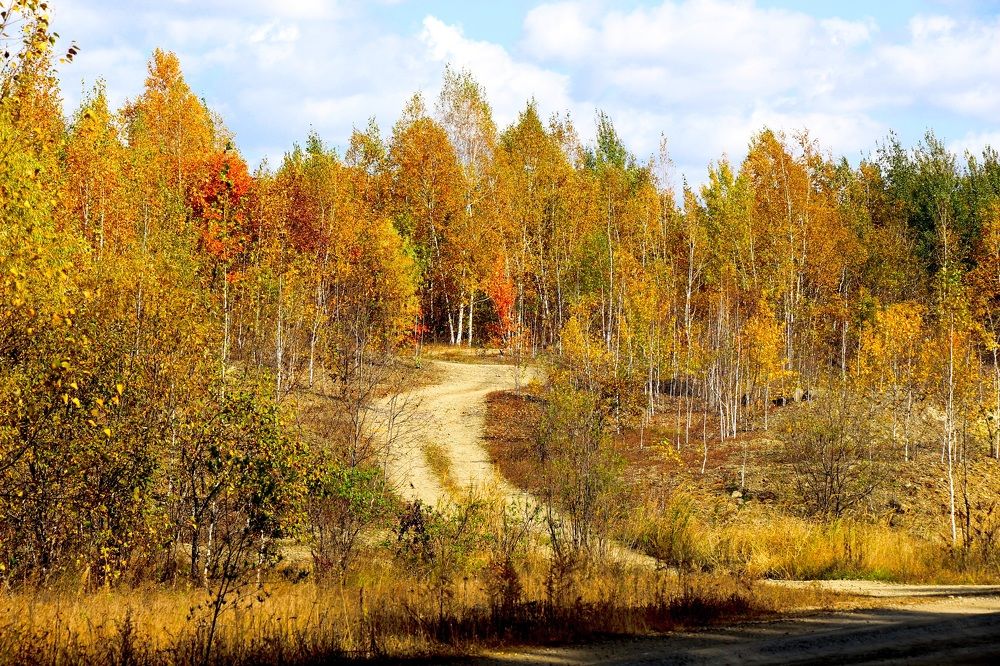 Photograph by Svetlana Victorovna Kibyakova