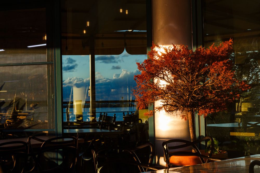 Photograph by Роман Саламатин