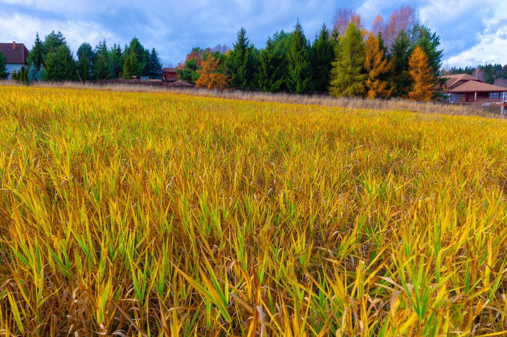 Фотография автора Виталий Дузь