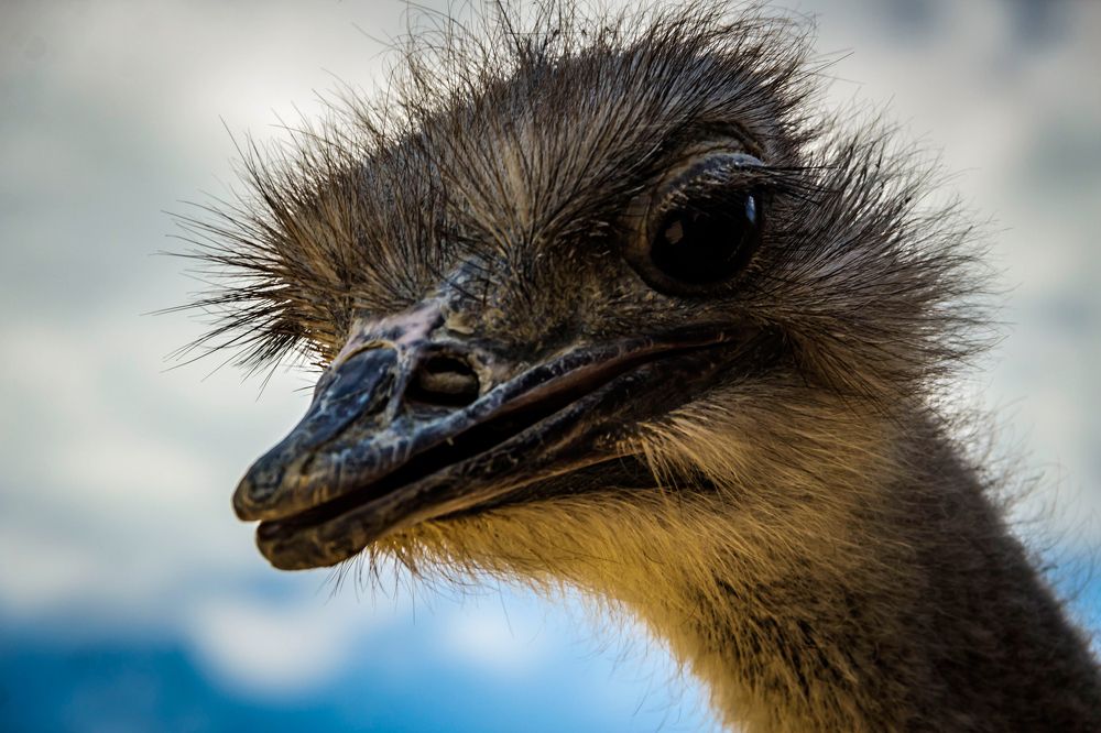 Photograph by Игорь Сидун