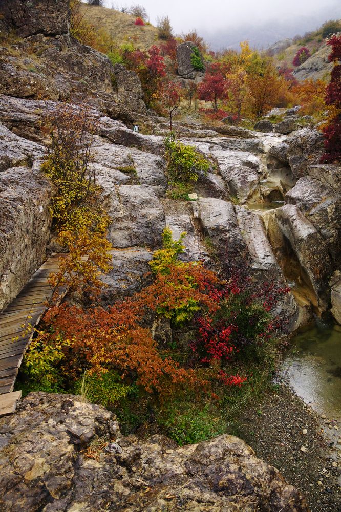 Photograph by косяк