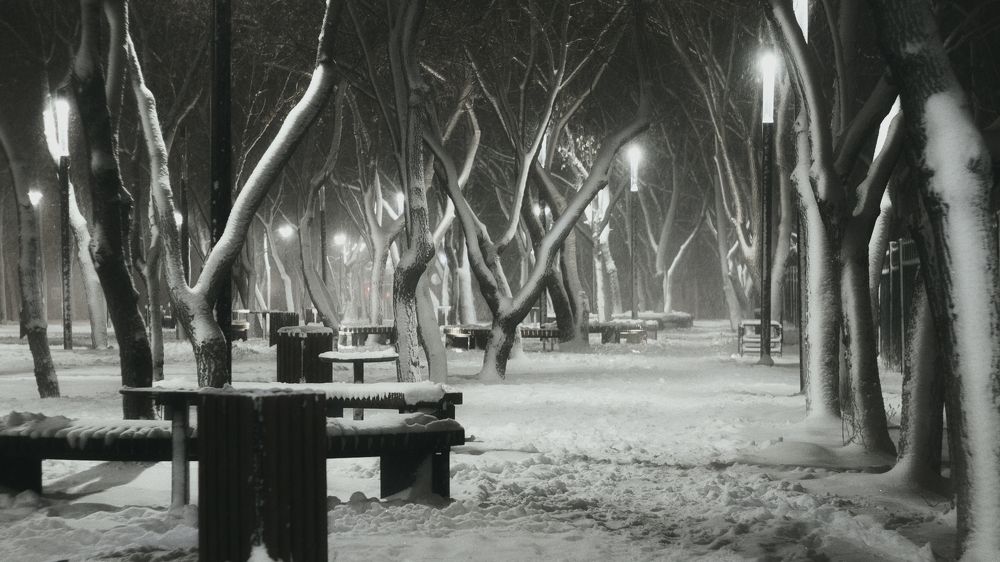 Фотография автора Евгений Пименов