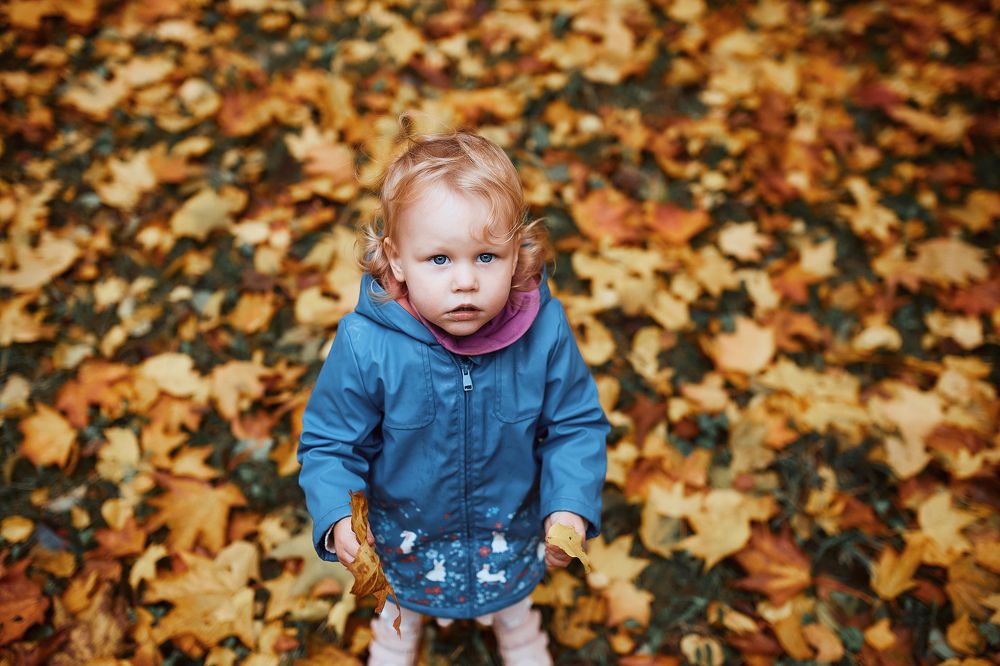 Photograph by Виктор Бабинцев