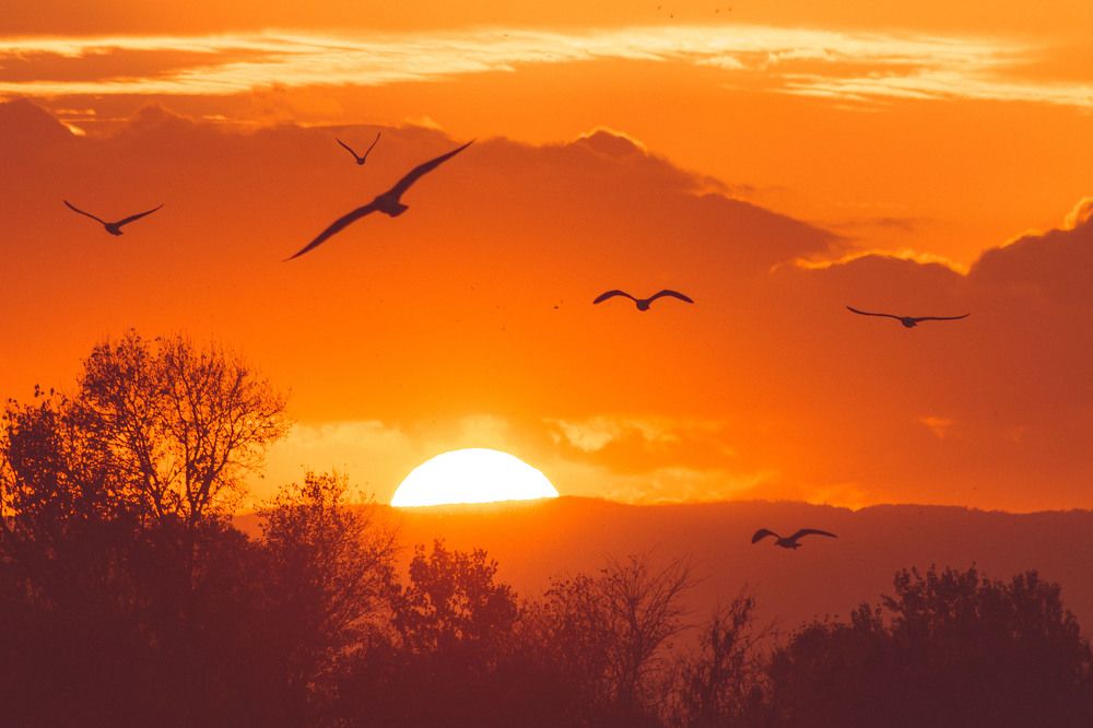 Photograph by Трайко Байко