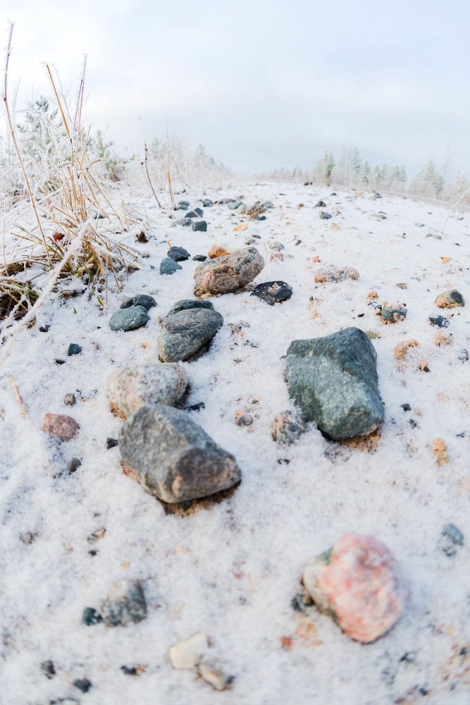 Photograph by Алексей Ильин