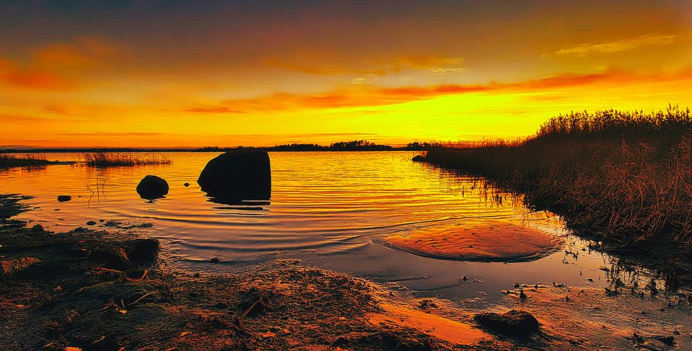 Photograph by Epp Tappel