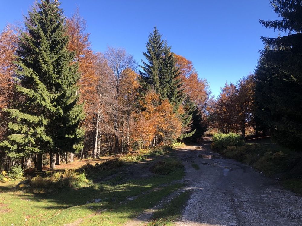 Photograph by Besim Dervoviç