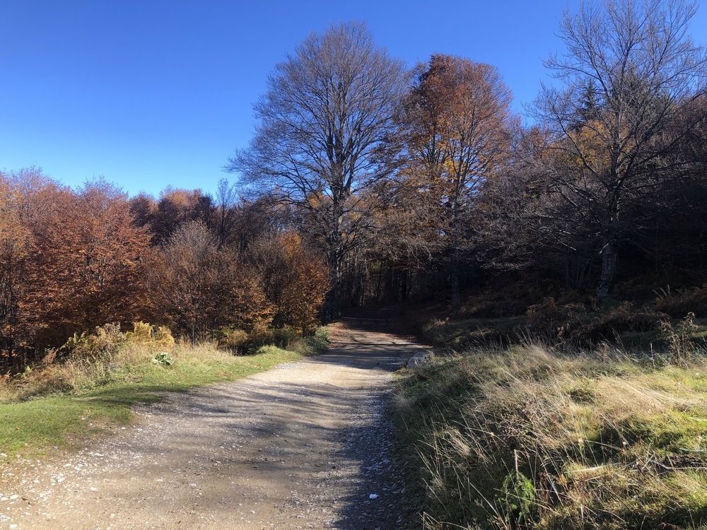 Photograph by Besim Dervoviç