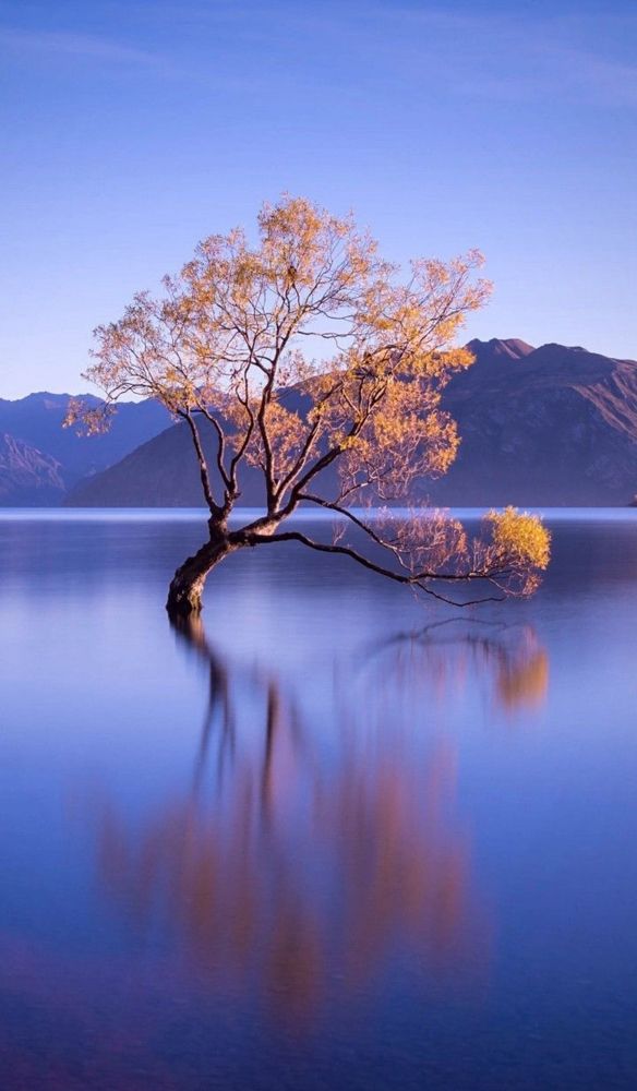 Photograph by София Орлова