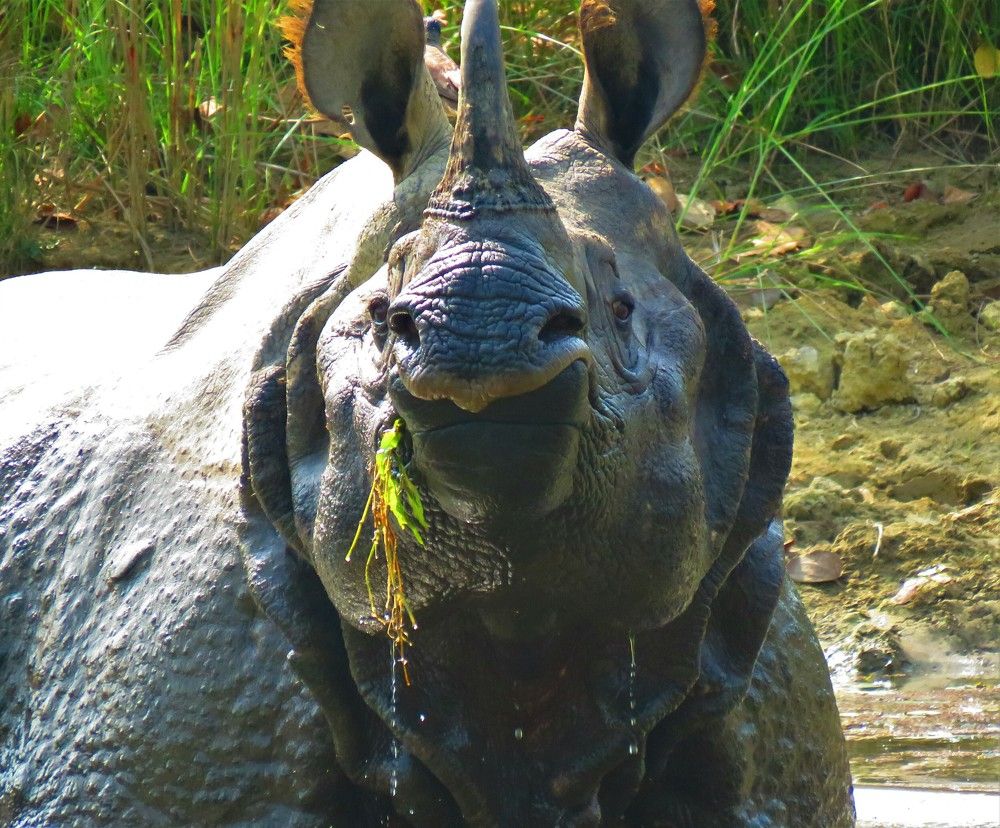 Photograph by ANISH BISWAS