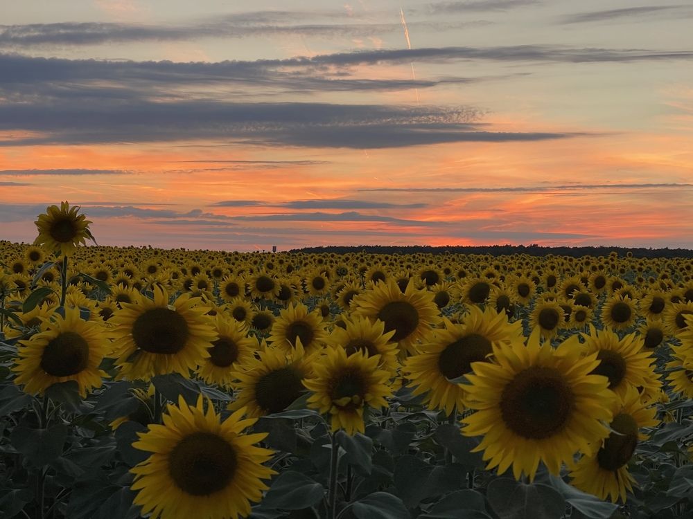 Photograph by Oleg Ki