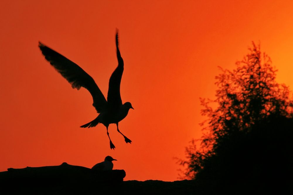 Photograph by Аркадий Ишимов