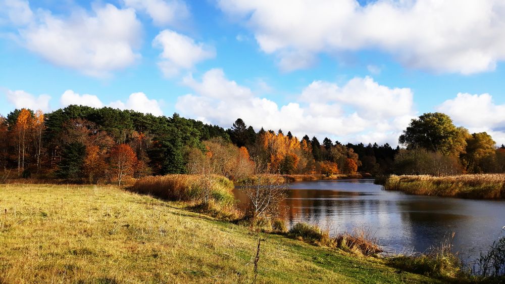 Photograph by Igor Glazistov