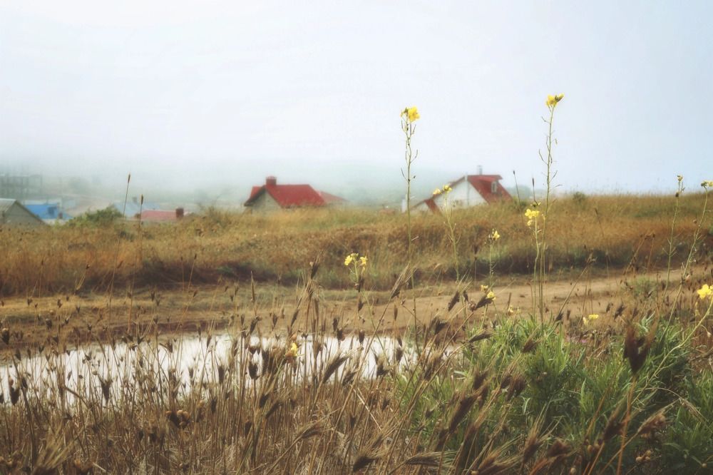 Photograph by Маргарита Смоленская