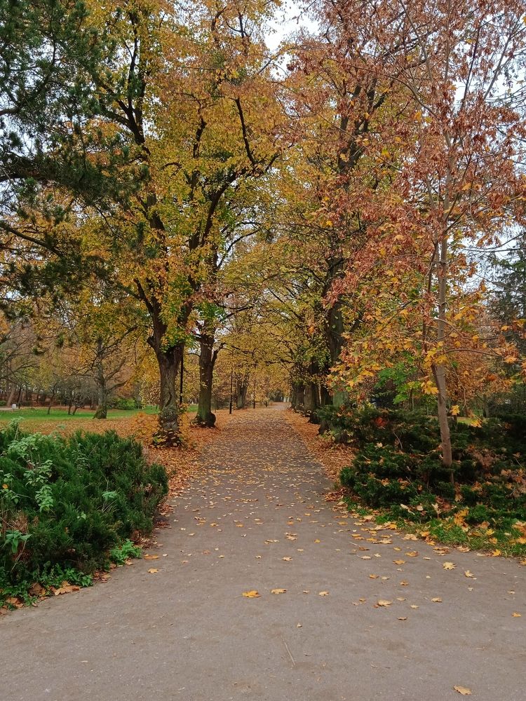 Фотография автора Valeryia Shkoda