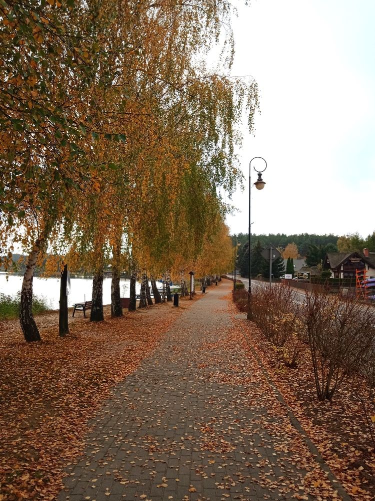 Фотография автора Valeryia Shkoda