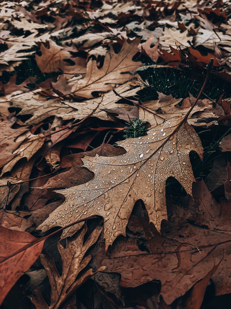 Photograph by Оксана Борисевич