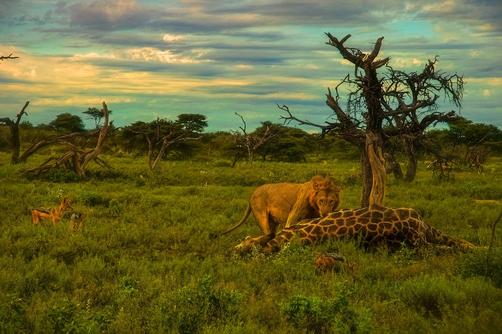 Photograph by Шварцман Евгений