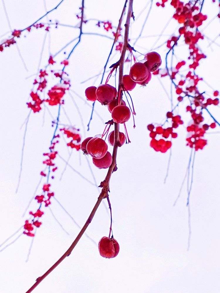 Photograph by Светлана