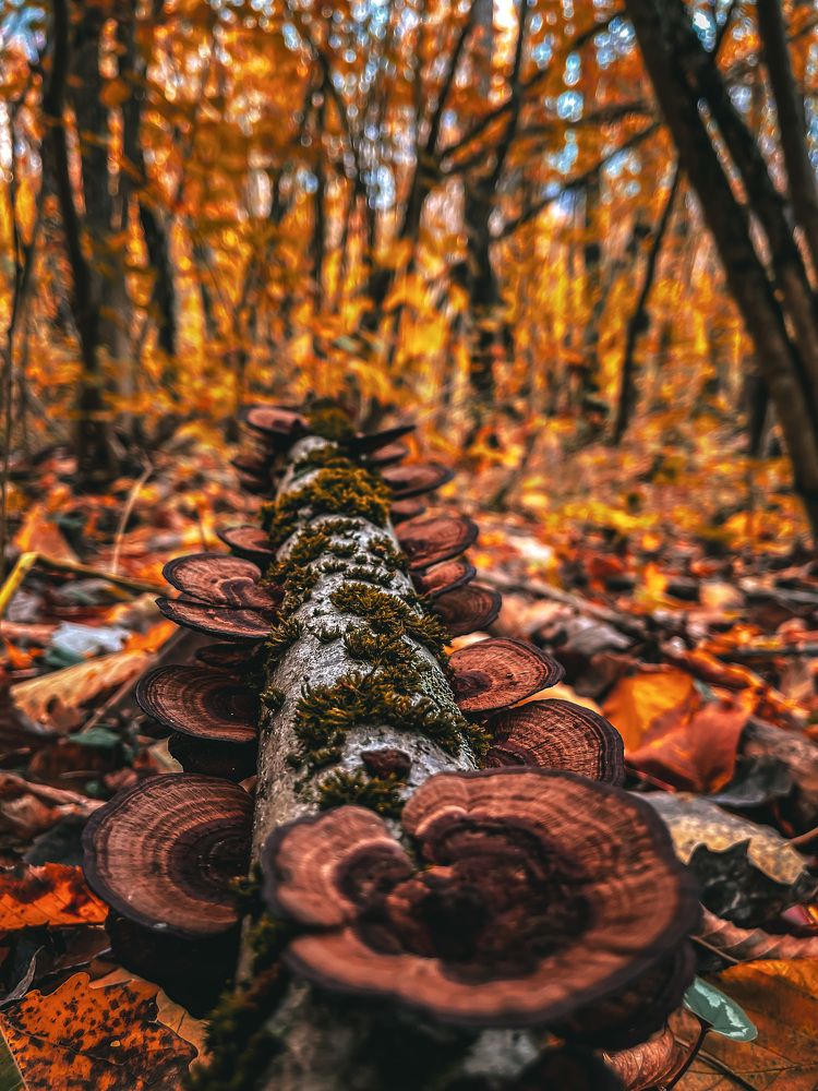 Photograph by Кирилл Левицкий