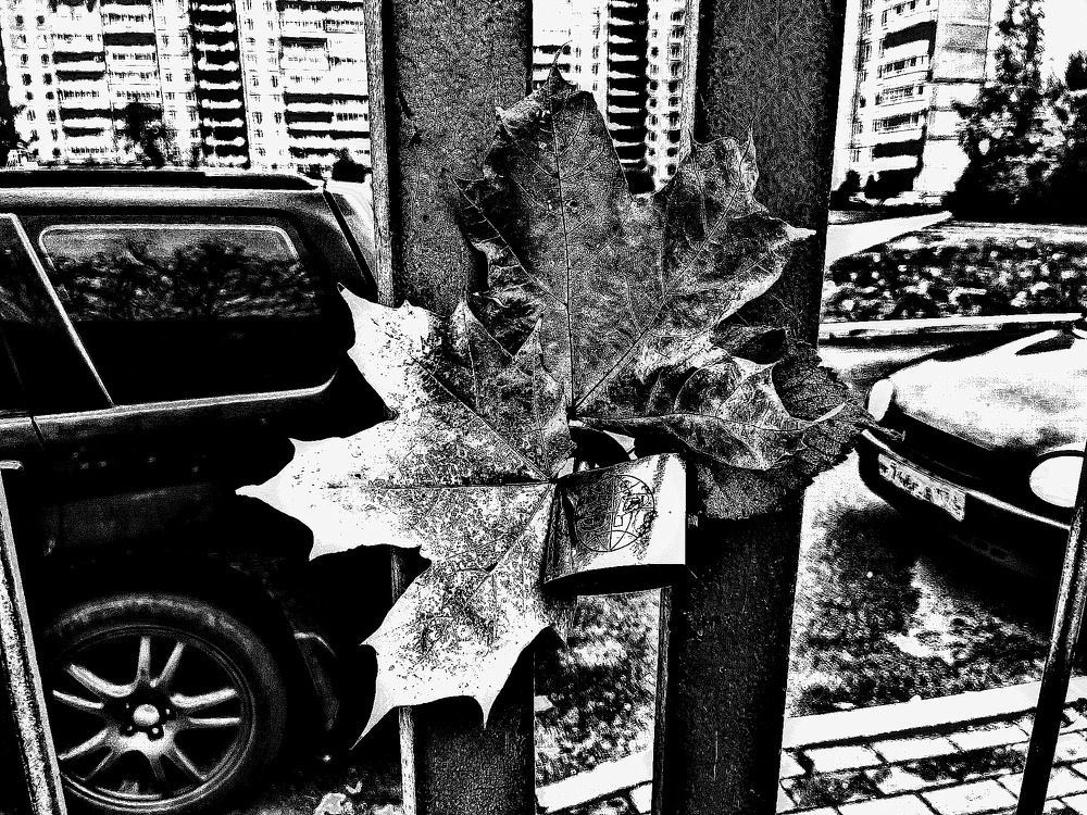 Осень ... на замке...!