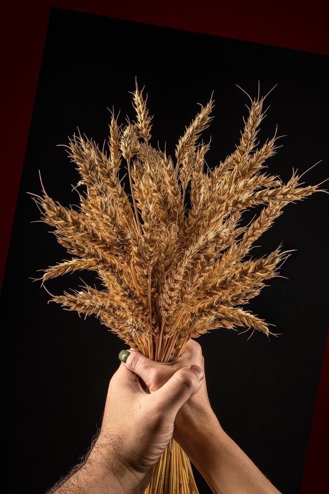 Photograph by Константин Щербаков