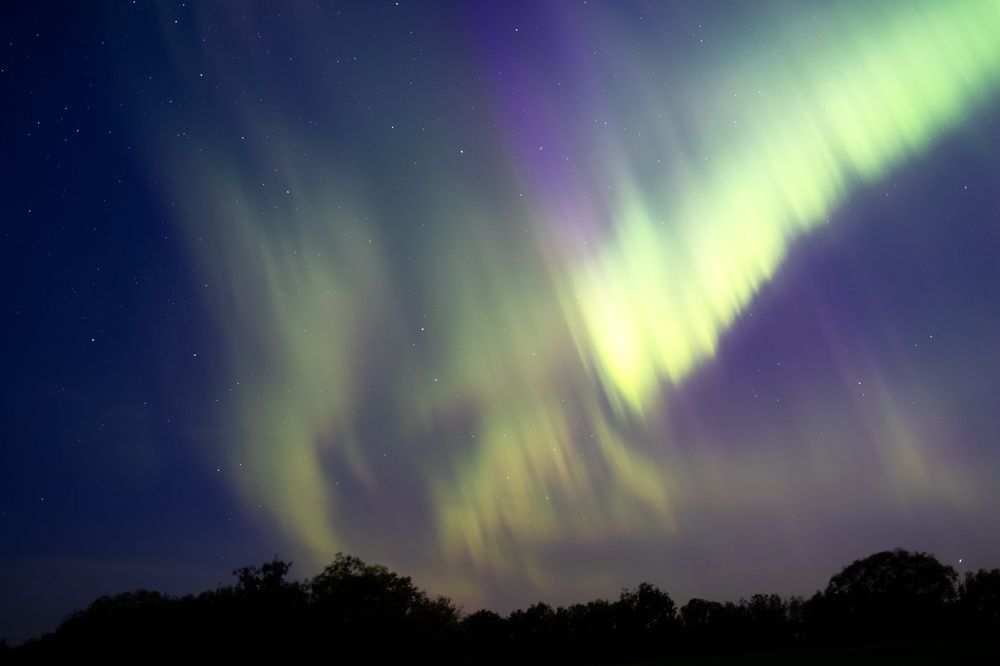 Фотография автора Евгения Глинская