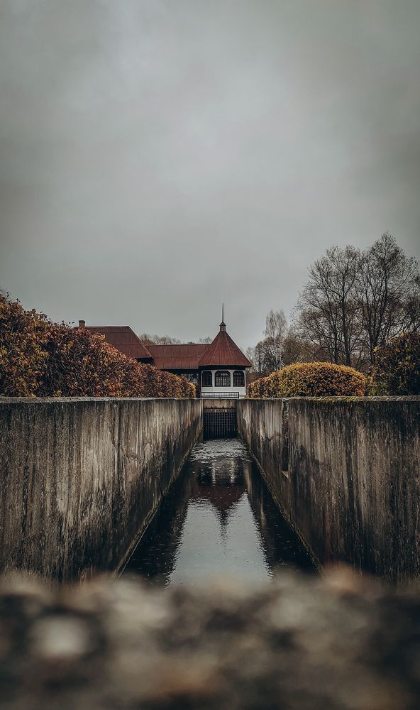 Photograph by Марина Пшен