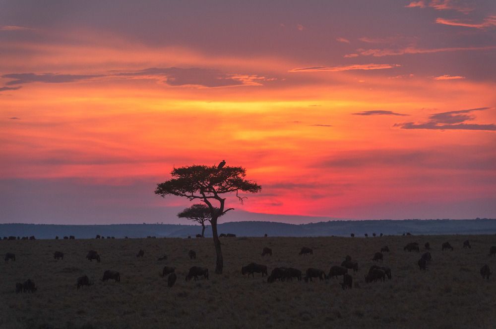 Photograph by Ranjith Kumar