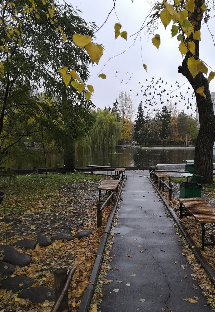 Photograph by Юлия Пацке