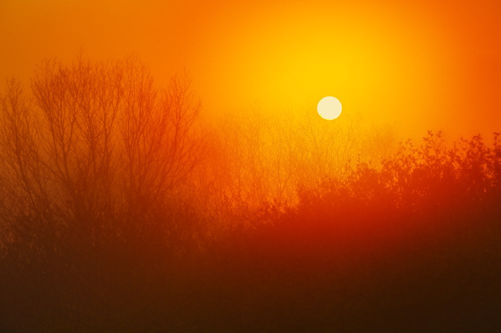 Photograph by Максин Александр