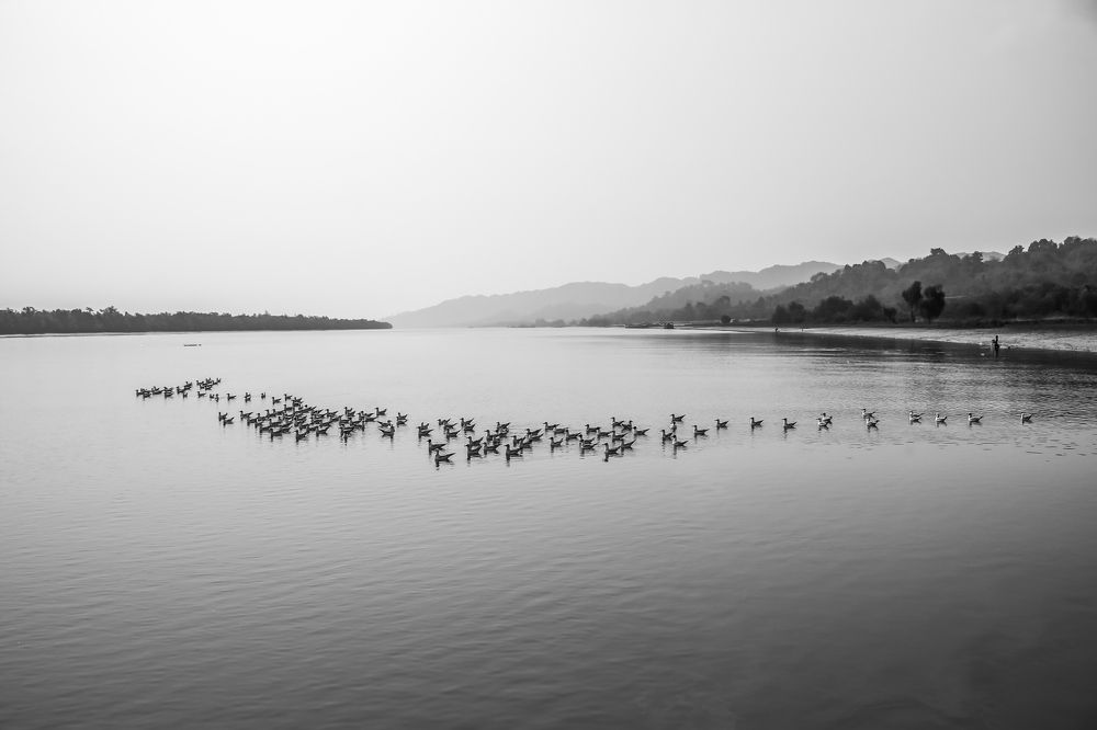 Photograph by Mahbubur Rahman