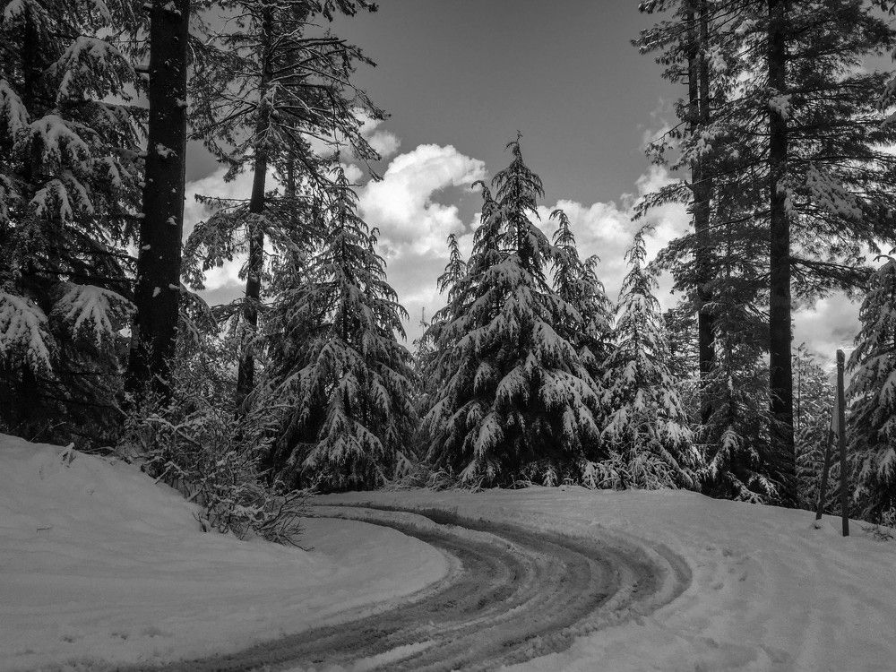 Photograph by Ahmad Bilal Cheema