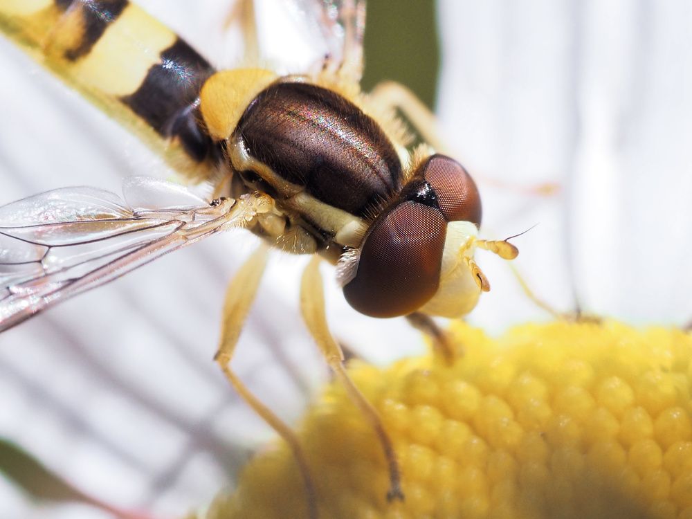 Photograph by Ирина Протченко