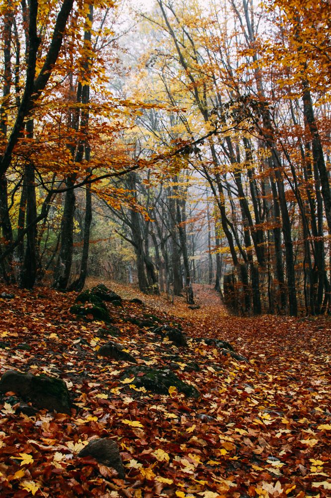 Photograph by Olesya Serebryantseva