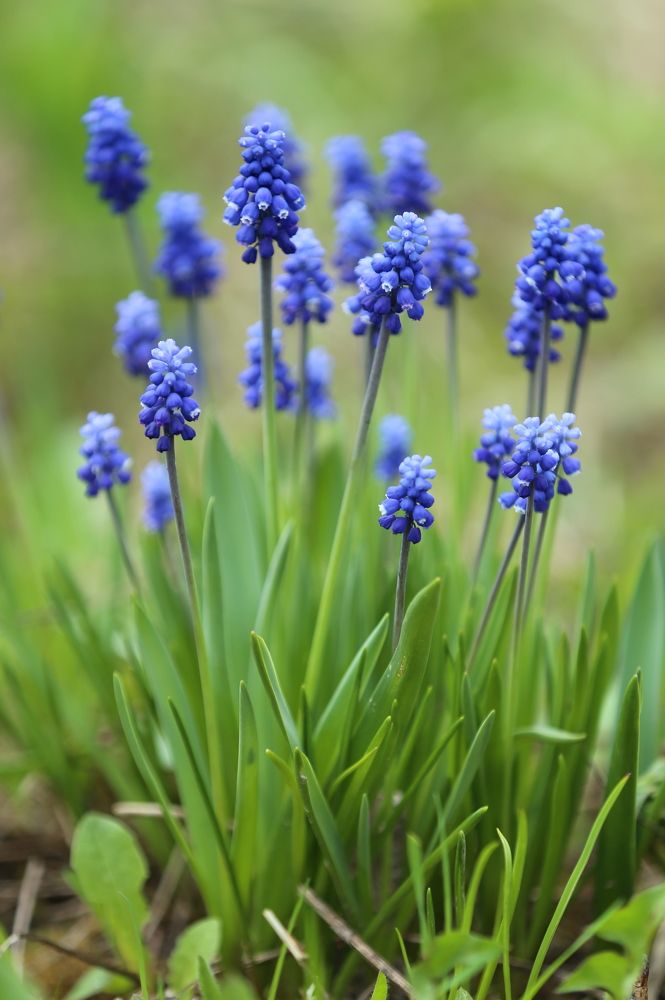 Photograph by Унку Юрий