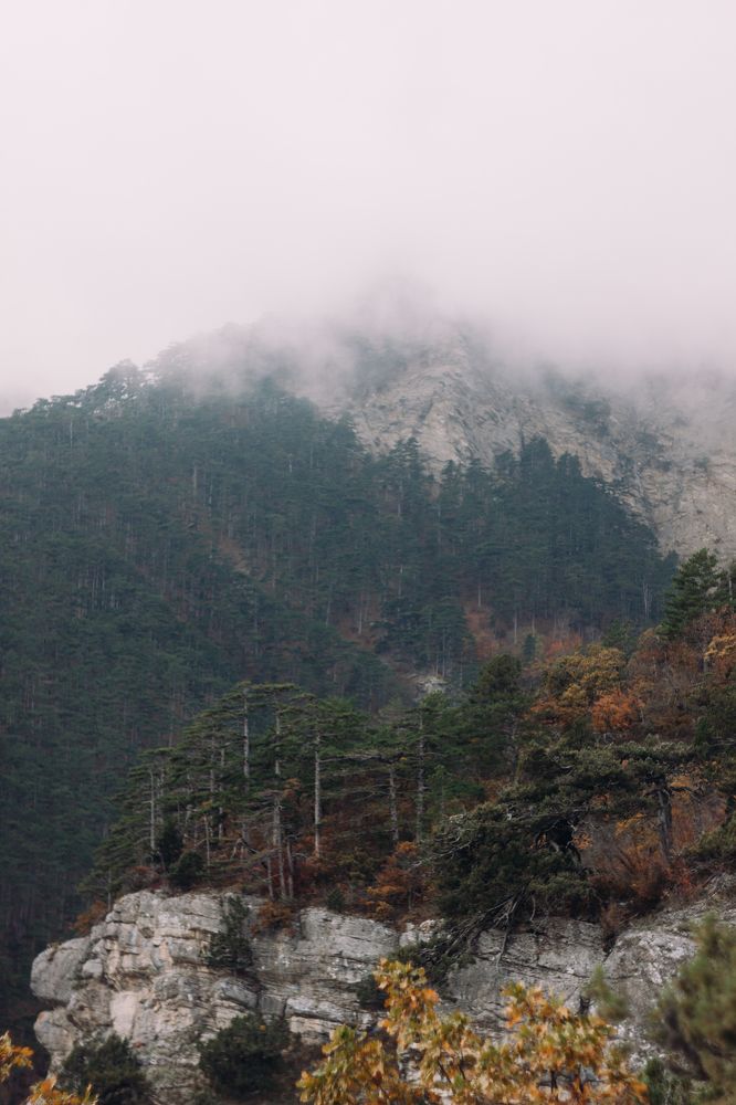 Photograph by Olesya Serebryantseva