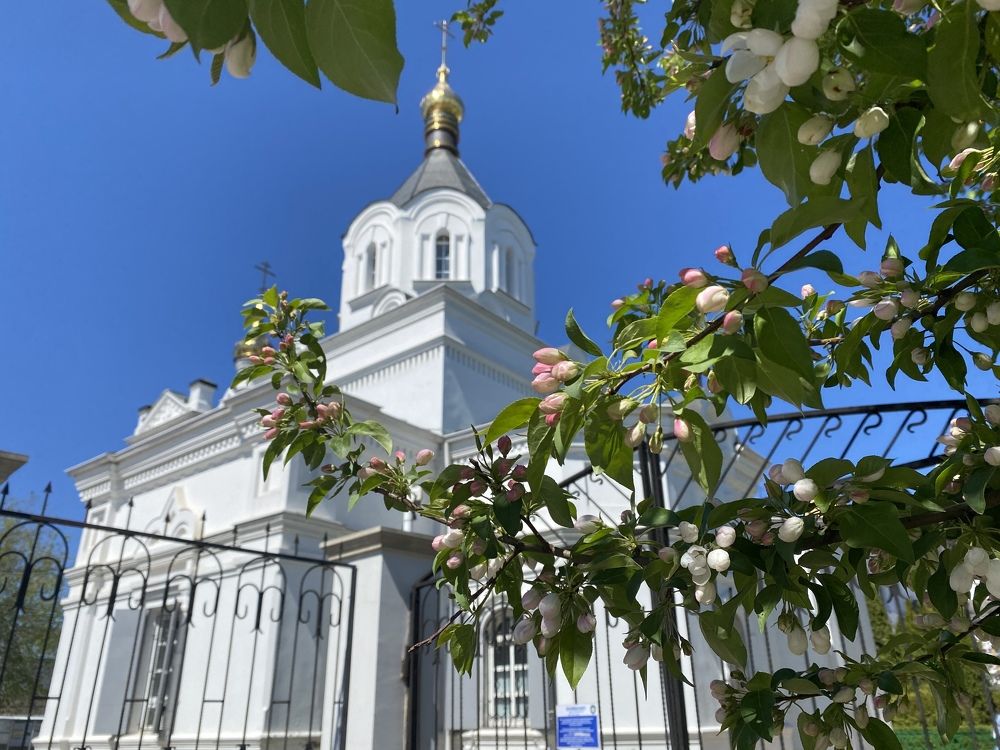 Photograph by Дарья Михайловна