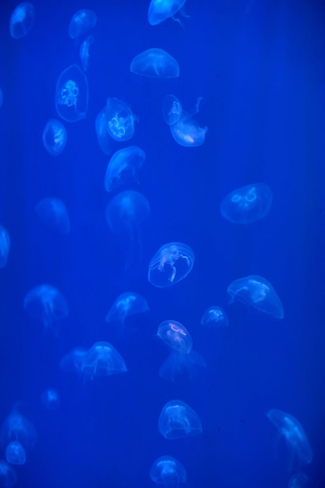 Photograph by Унку Юрий