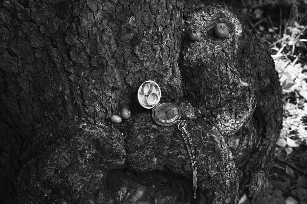 Верности ... Хранитель...!